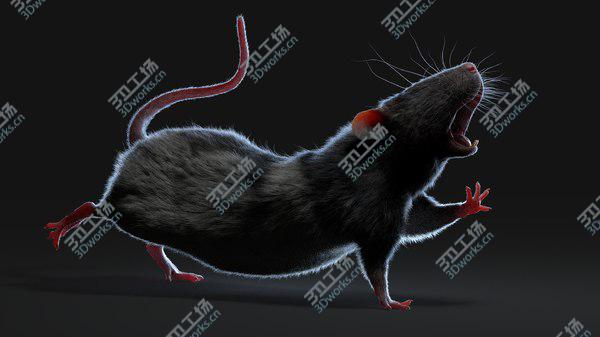 images/goods_img/20210312/3D model Rat (Fur) (Rigged) (4)/3.jpg